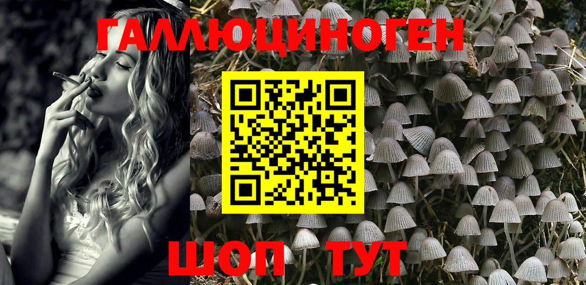 Псилоцибиновые грибы Cubensis  Псилоцибиновые грибы MAGIC MUSHROOMS  Братск  Вход с VPN 
