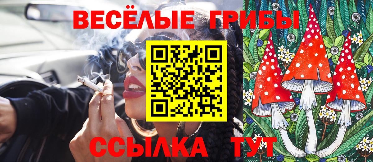 Галлюциногенные грибы прущие грибы Братск